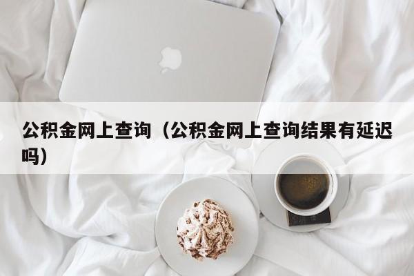 公积金网上查询（公积金网上查询结果有延迟吗）