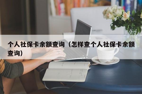 个人社保卡余额查询（怎样查个人社保卡余额查询）