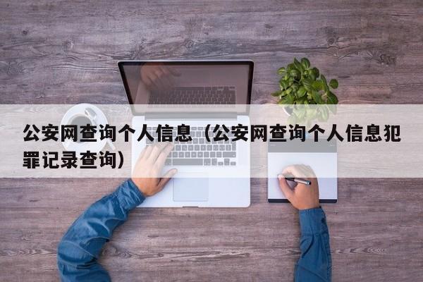 公安网查询个人信息（公安网查询个人信息犯罪记录查询）