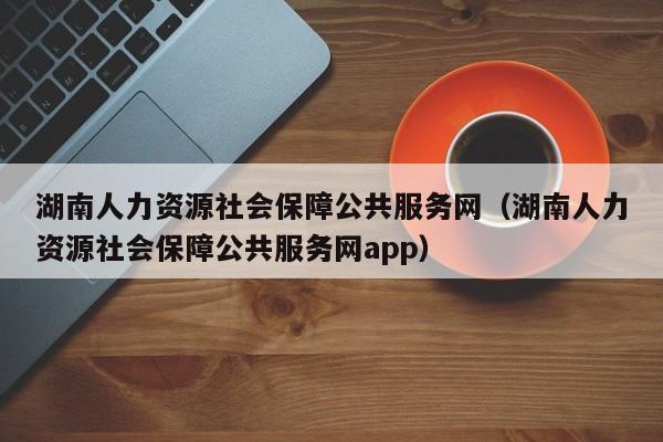 湖南人力资源社会保障公共服务网（湖南人力资源社会保障公共服务网app）