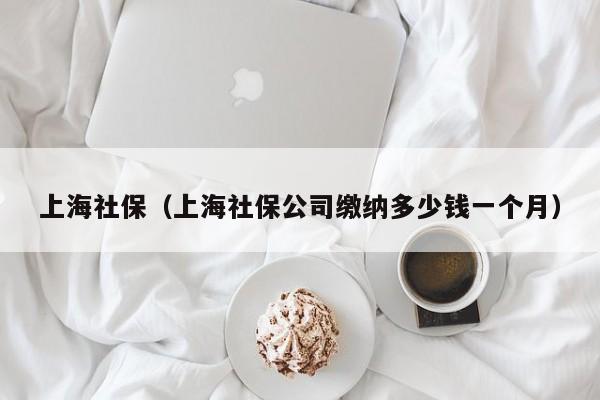 上海社保（上海社保公司缴纳多少钱一个月）