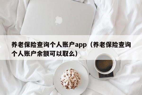 养老保险查询个人账户app（养老保险查询个人账户余额可以取么）