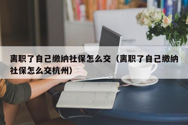 离职了自己缴纳社保怎么交（离职了自己缴纳社保怎么交杭州）