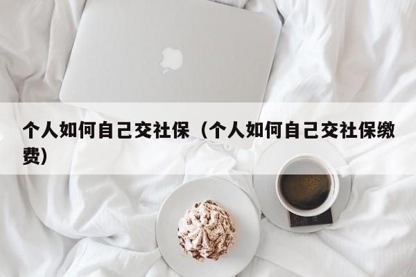 个人如何自己交社保（个人如何自己交社保缴费）