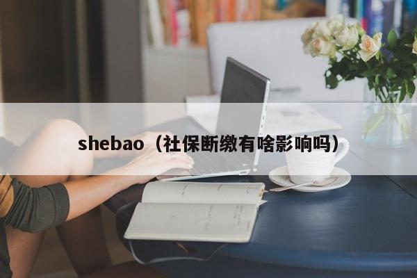 shebao（社保断缴有啥影响吗）