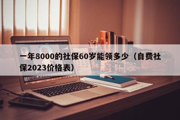 一年8000的社保60岁能领多少（自费社保2023价格表）