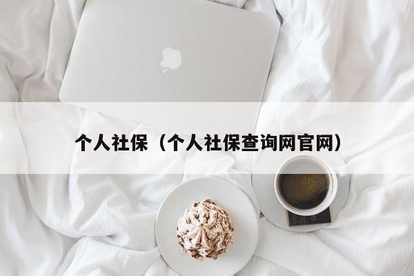 个人社保（个人社保查询网官网）