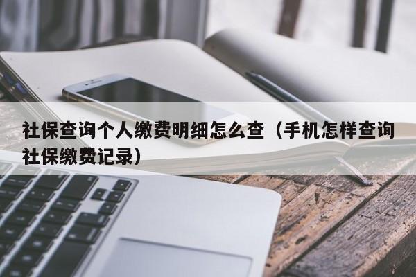 社保查询个人缴费明细怎么查（手机怎样查询社保缴费记录）