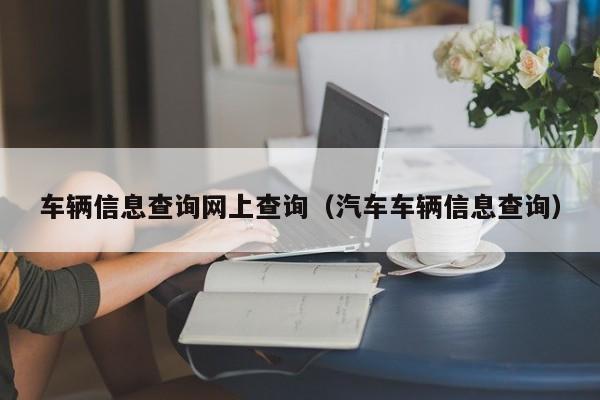 车辆信息查询网上查询（汽车车辆信息查询）