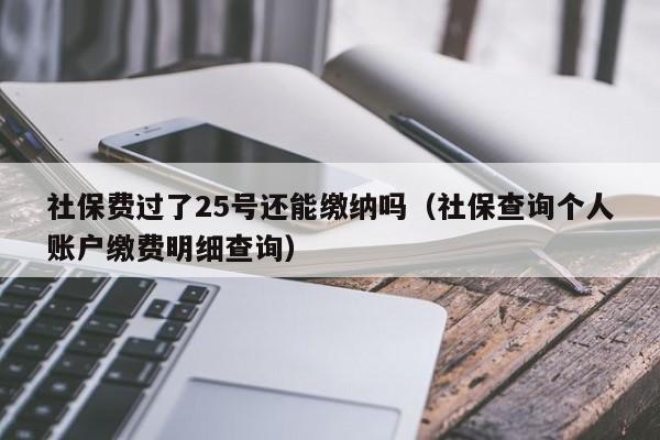 社保费过了25号还能缴纳吗（社保查询个人账户缴费明细查询）