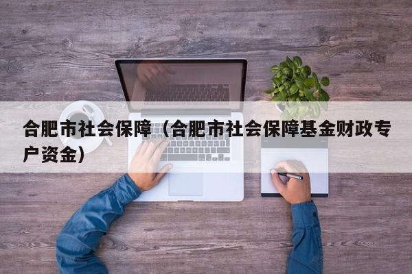 合肥市社会保障（合肥市社会保障基金财政专户资金）