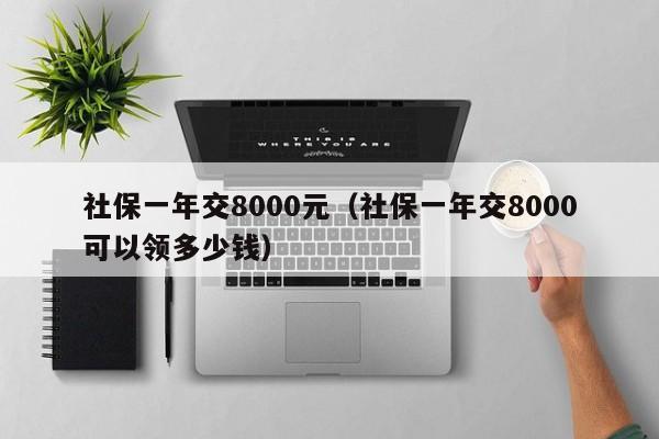 社保一年交8000元（社保一年交8000可以领多少钱）