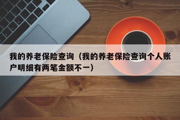 我的养老保险查询（我的养老保险查询个人账户明细有两笔金额不一）