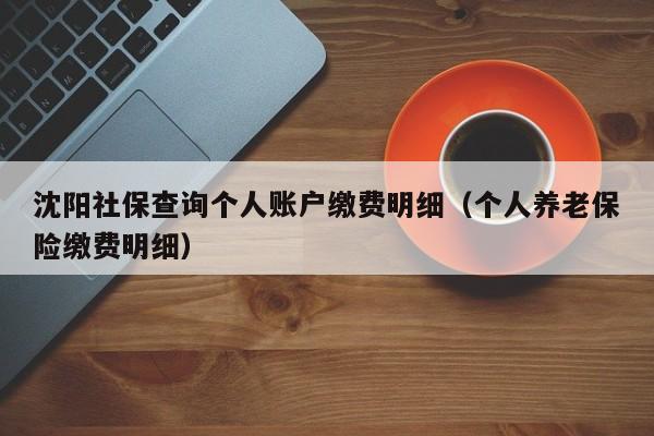 沈阳社保查询个人账户缴费明细（个人养老保险缴费明细）