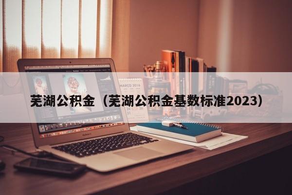 芜湖公积金（芜湖公积金基数标准2023）