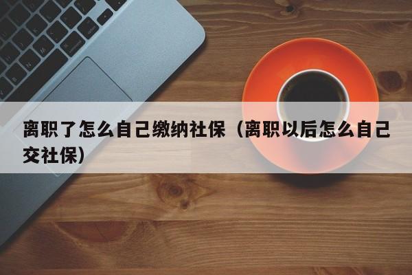 离职了怎么自己缴纳社保（离职以后怎么自己交社保）