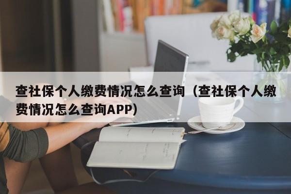 查社保个人缴费情况怎么查询（查社保个人缴费情况怎么查询APP）