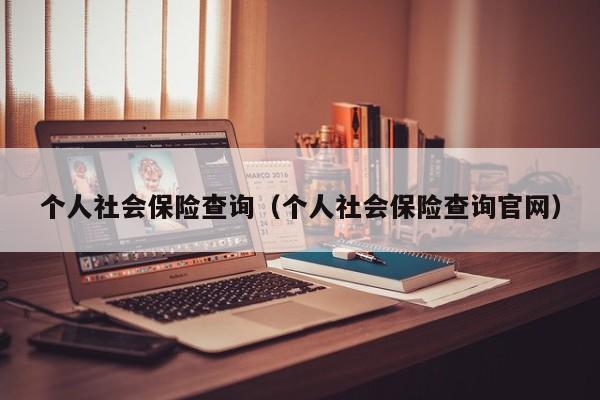 个人社会保险查询（个人社会保险查询官网）