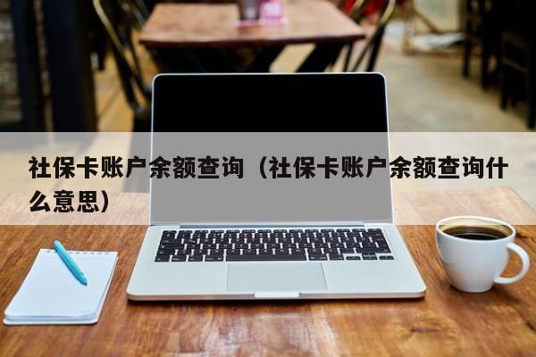 社保卡账户余额查询（社保卡账户余额查询什么意思）