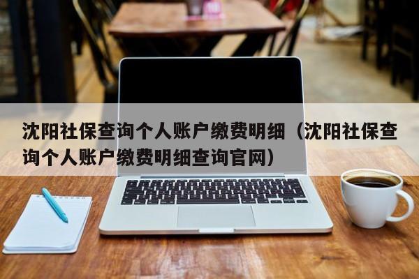 沈阳社保查询个人账户缴费明细（沈阳社保查询个人账户缴费明细查询官网）