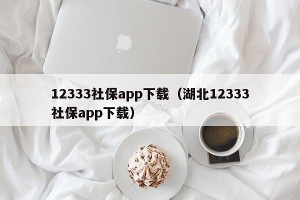 12333社保app下载（湖北12333社保app下载）