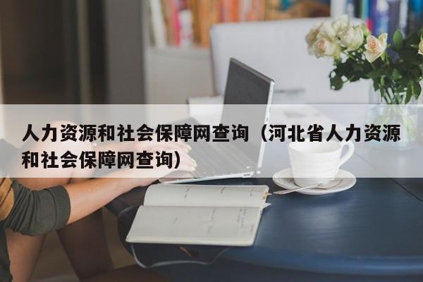 人力资源和社会保障网查询（河北省人力资源和社会保障网查询）