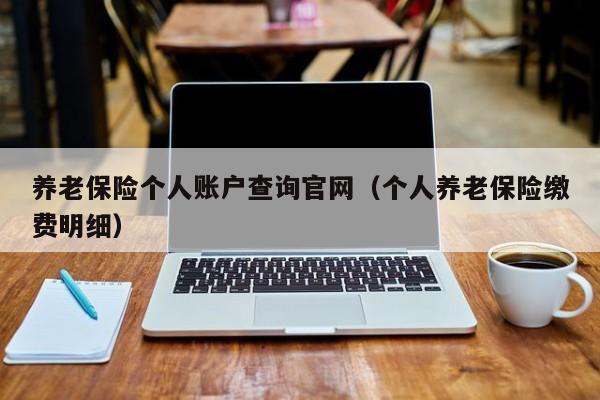 养老保险个人账户查询官网（个人养老保险缴费明细）