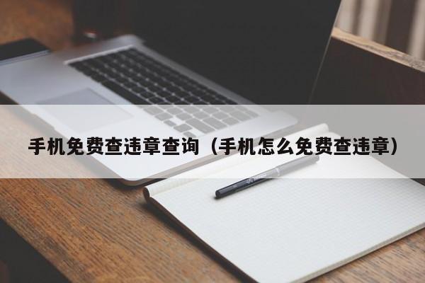 手机免费查违章查询（手机怎么免费查违章）