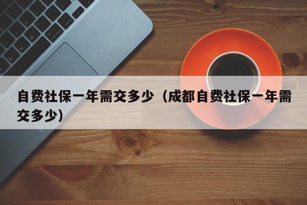 自费社保一年需交多少（成都自费社保一年需交多少）