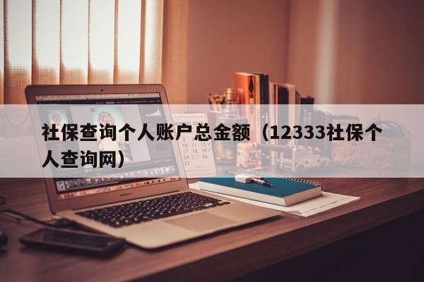 社保查询个人账户总金额（12333社保个人查询网）