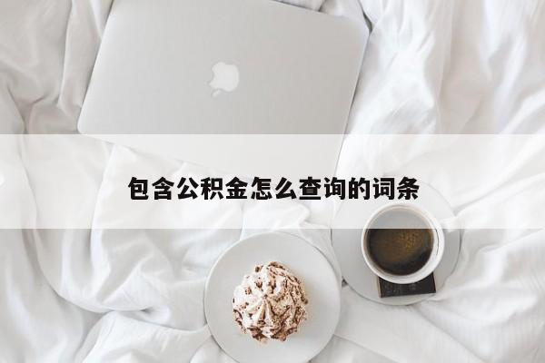 包含公积金怎么查询的词条