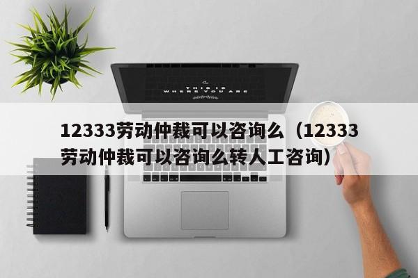 12333劳动仲裁可以咨询么（12333劳动仲裁可以咨询么转人工咨询）