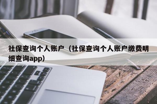 社保查询个人账户（社保查询个人账户缴费明细查询app）