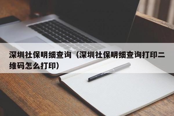 深圳社保明细查询（深圳社保明细查询打印二维码怎么打印）