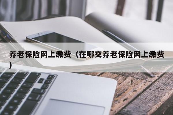 养老保险网上缴费（在哪交养老保险网上缴费）