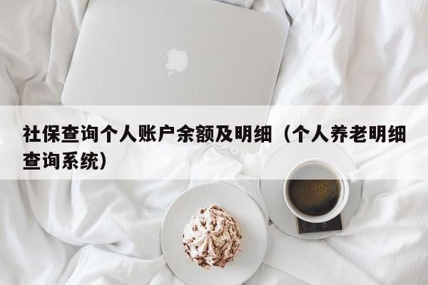 社保查询个人账户余额及明细（个人养老明细查询系统）