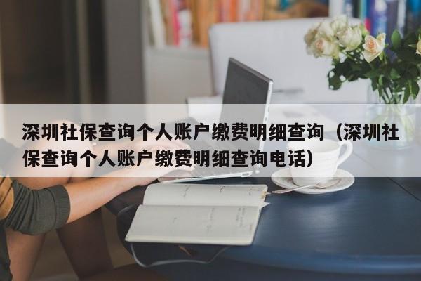 深圳社保查询个人账户缴费明细查询（深圳社保查询个人账户缴费明细查询电话）