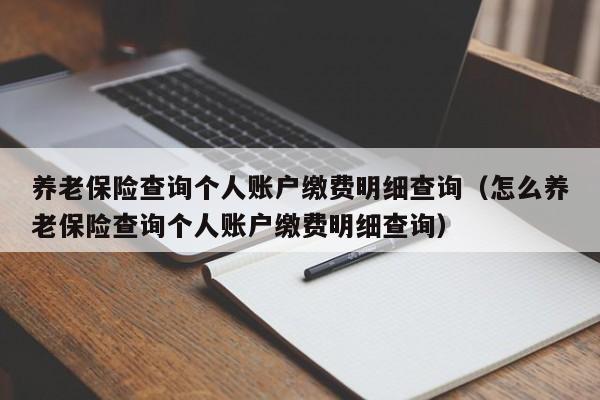 养老保险查询个人账户缴费明细查询（怎么养老保险查询个人账户缴费明细查询）