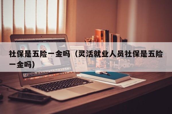 社保是五险一金吗（灵活就业人员社保是五险一金吗）