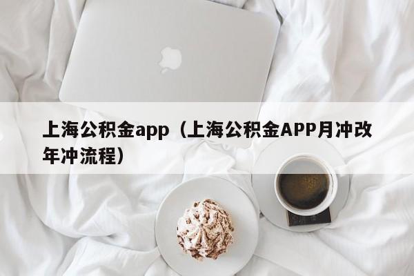 上海公积金app（上海公积金APP月冲改年冲流程）