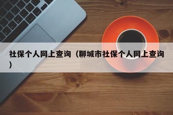 社保个人网上查询（聊城市社保个人网上查询）