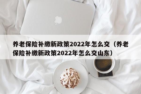 养老保险补缴新政策2022年怎么交（养老保险补缴新政策2022年怎么交山东）