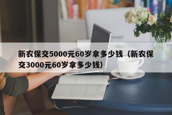 新农保交5000元60岁拿多少钱（新农保交3000元60岁拿多少钱）