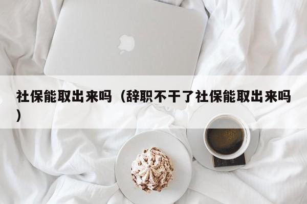 社保能取出来吗（辞职不干了社保能取出来吗）