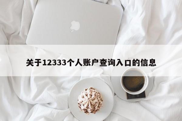 关于12333个人账户查询入口的信息