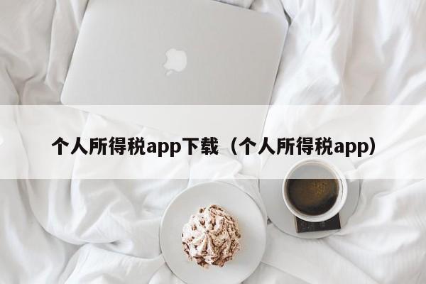 个人所得税app下载（个人所得税app）