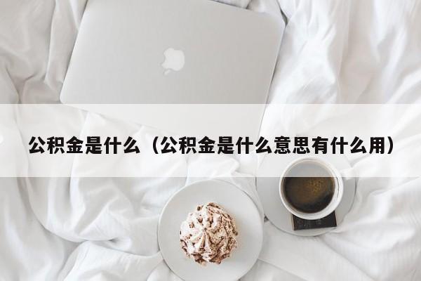 公积金是什么（公积金是什么意思有什么用）