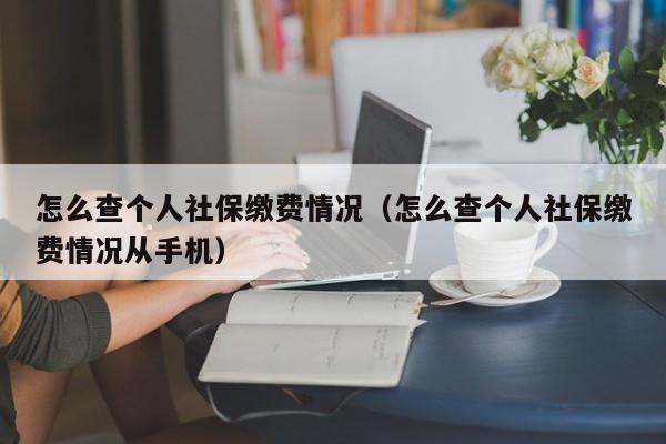 怎么查个人社保缴费情况（怎么查个人社保缴费情况从手机）