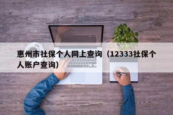 惠州市社保个人网上查询（12333社保个人账户查询）