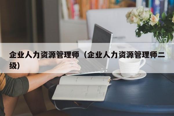 企业人力资源管理师（企业人力资源管理师二级）